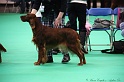 Crufts2011 362